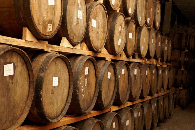 José Cuervo Tequila Day Experience from Guadalajara - Key Highlights You Should Care About