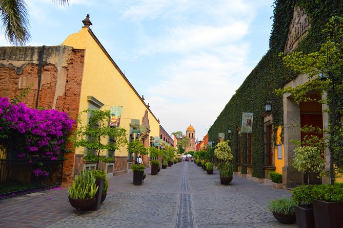 José Cuervo Tequila Day Experience from Guadalajara - How This Day Works, Step by Step (and Where It Gets Interesting)