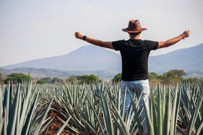 José Cuervo Tequila Day Experience from Guadalajara
