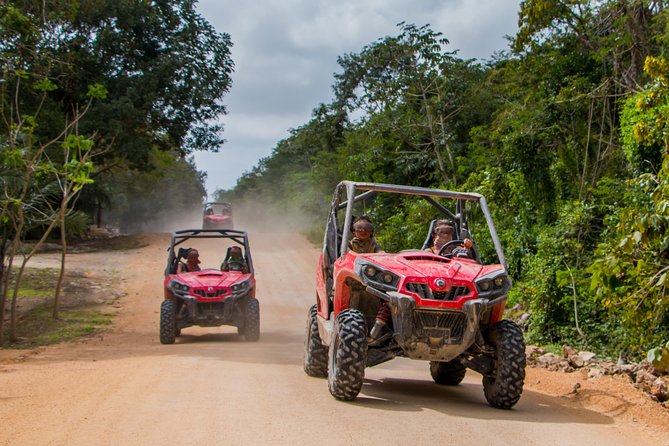 Jungle Buggy Tour from Playa del Carmen Including Cenote Swim - How the Jungle Buggy and Cenote Combo Feels in Real Life