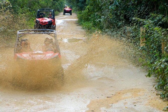 Jungle Buggy Tour from Playa del Carmen Including Cenote Swim - Driving the Can-Am 4x4 Through Riviera Maya Jungle Trails