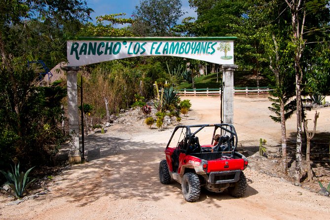 Jungle Buggy Tour from Playa del Carmen Including Cenote Swim - Guides Who Set the Tone, From Fernando to Ricardo
