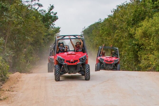Jungle Buggy Tour from Playa del Carmen Including Cenote Swim - Who This Tour Suits Best (and Who Should Skip It)