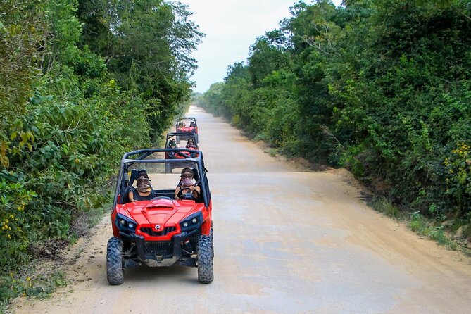 Jungle Buggy Tour from Playa del Carmen Including Cenote Swim - Pickup, Meeting Point, and Timing for a Smooth Half Day