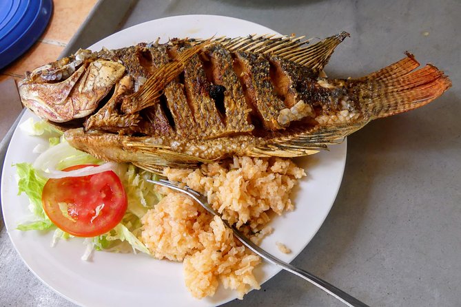 Jungle Coyuca Lagoon Boat Ride Experience & Baby Turtle Release - Barra de Coyuca Village Time: A Local Break Between Nature Stops