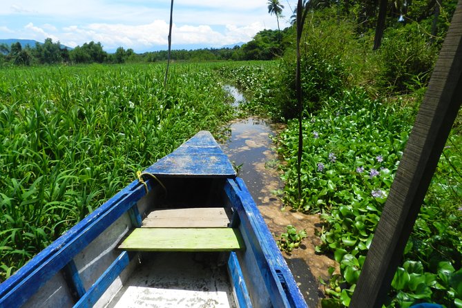 Jungle Coyuca Lagoon Boat Ride Experience & Baby Turtle Release - The Day Plan That Keeps You Moving, Yet Not Rushed