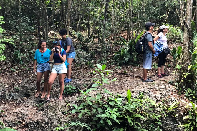 Jungle Jeep Adventure to Mayan Caves, Cenote and Snorkel - Stop 3 Jade cenote and cave time at Aerolito de Paraiso