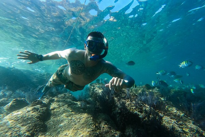 Kayak Expedition to the Arch of Cabo San Lucas, Lovers Beach & Snorkel - Who should book this Arch, Lovers Beach, and Pelican Rock tour