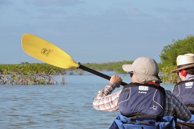 Kayak Sian Ka’an Biosphere Reserve Sunset Tour - Paddling effort: how strenuous is it and who it fits best