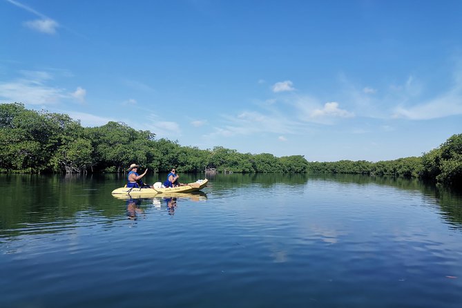 Kayak TOUR POR Laguna Nichupte Cancun - Paddle Reality Check: You Will Get Wet, and Mosquitoes Are Not Optional