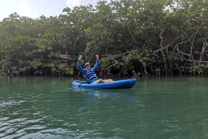 Kayak TOUR POR Laguna Nichupte Cancun - Who Should Book This Cancun Kayak Tour (and Who Might Not)