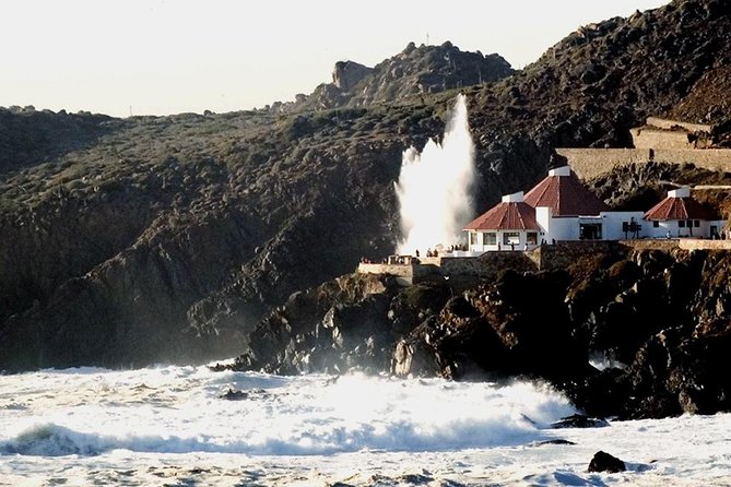 La Bufadora Tour in Baja California - Key Highlights You’ll Feel on This La Bufadora Tour