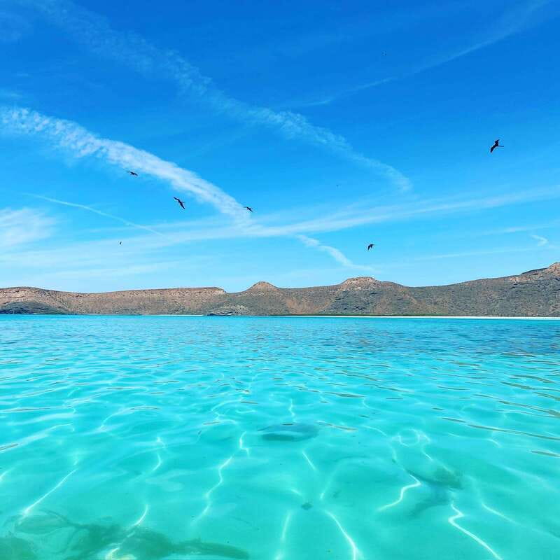 La Paz: Espiritu Santo Island Tour - Key points that make this tour worth your time