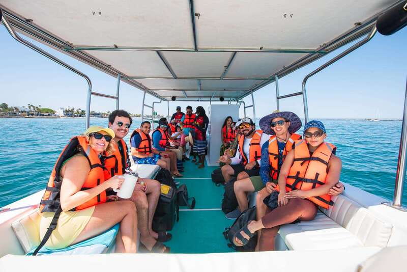 La Paz: Espiritu Santo Island Tour - Sea lions at San Rafaelito, with a regulated 20-minute swim