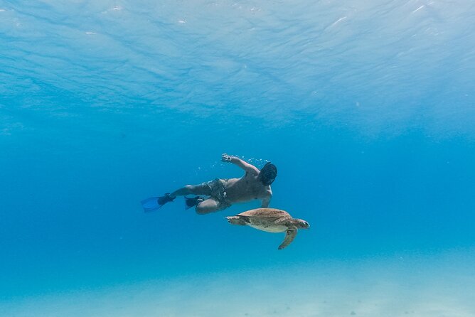 La Paz World Class Snorkeling in Balandras Hidden Beaches - Food, drinks, and why the open bar is more than a perk