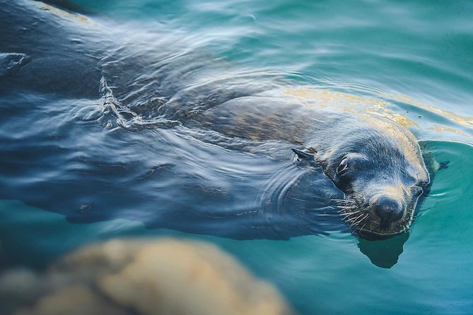 Land’s End Experience - Arch, Beaches & Marine Life - Pickup and the Real Rhythm of a 4-Hour Day in Cabo