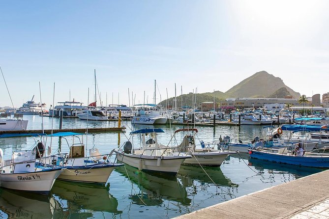 Land’s End Experience - Arch, Beaches & Marine Life - The $55 Question: Does This Tour Feel Like Good Value?