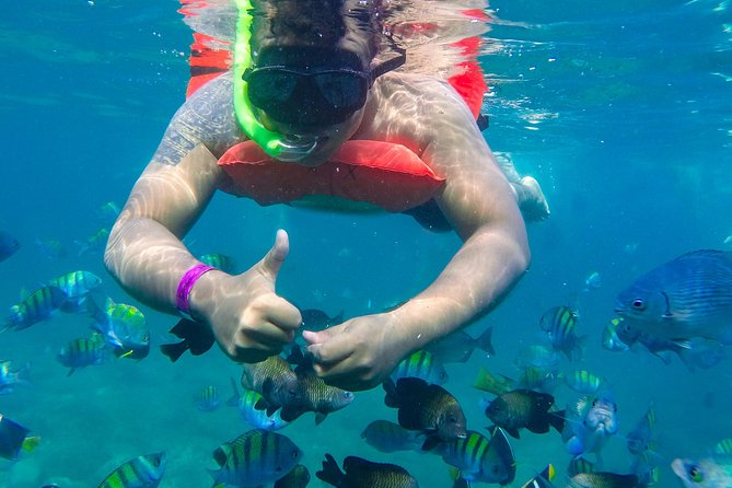 Las Caletas Beach & Adventure Park with buffet lunch and open bar - Adults and beach swimmers: what can surprise you