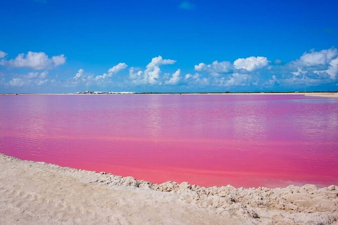 Las Coloradas, Río Lagartos and Playa Cancunito Tour from Mérida - Key Highlights You’ll Actually Feel During the Day