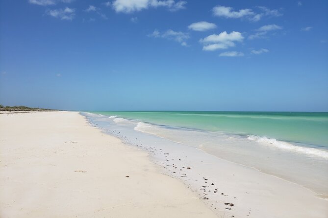 Las Coloradas, Río Lagartos and Playa Cancunito Tour from Mérida - Timing and Comfort: The Long Drive From Mérida Is the Real Cost