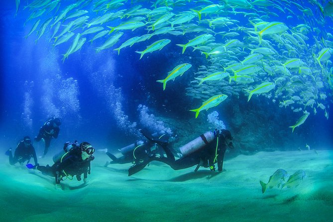 Learn to Scuba Dive in Cabo San Lucas with PADI - The 3.5 hours and what you’ll feel along the way