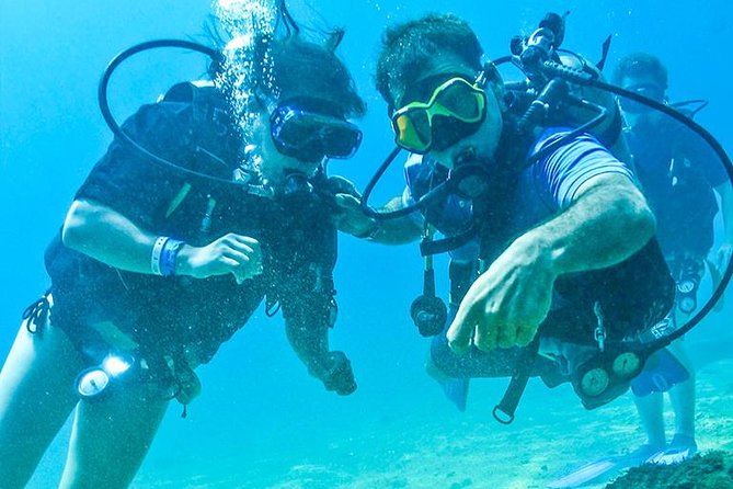 Learn to Scuba Dive in Cabo San Lucas with PADI - El Arco de Cabo San Lucas: the main photo moment, with guided underwater time