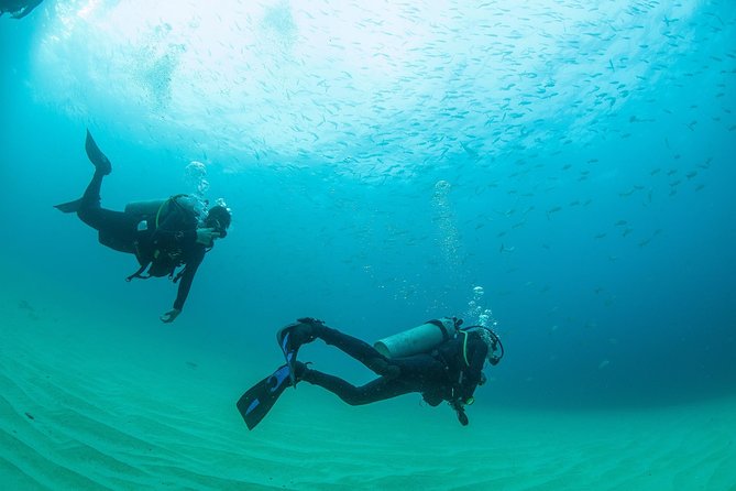 Learn to Scuba Dive in Cabo San Lucas with PADI - Price breakdown: is $129 worth it for a first-timer?