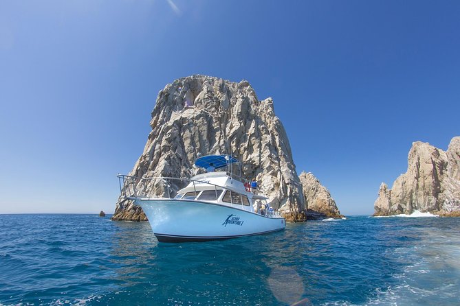Learn to Scuba Dive in Cabo San Lucas with PADI - Who this suits best, and who should skip it