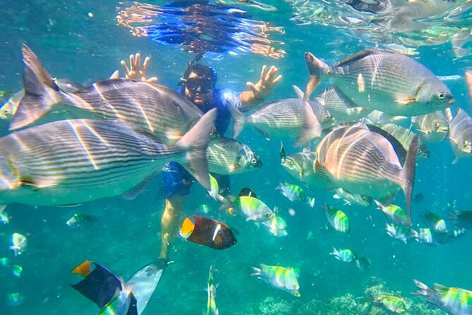Los Arcos 5 islands Snorkeling Cliff Jumping and Hidden Beach - Quick Hits Before You Book