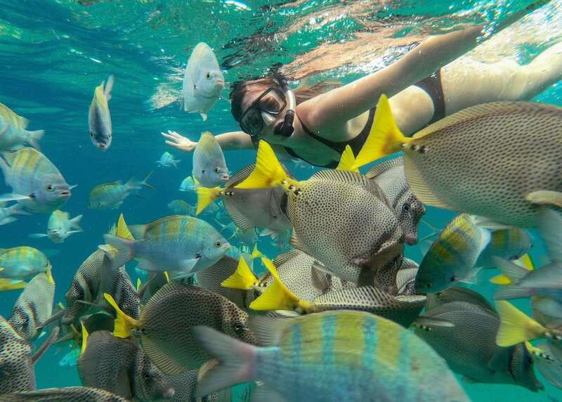 Los Cabos Arch & Lover’s Beach Tour + Snorkeling Tour - Tips I Actually Suggest Before You Go: Packing and Photo Sense