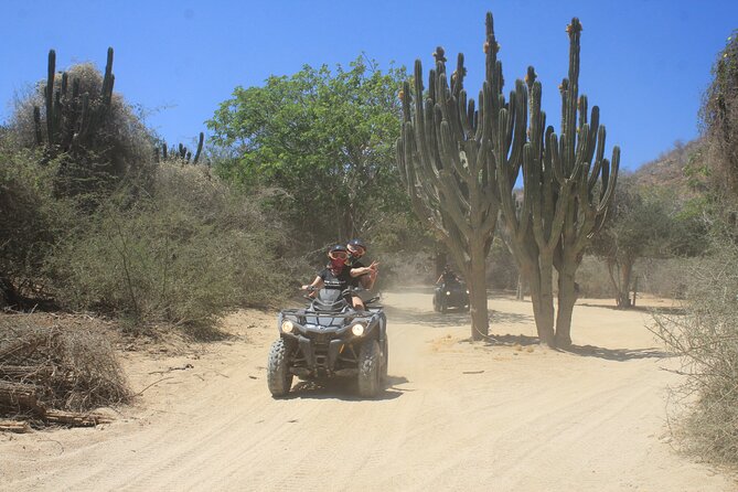 Los Cabos Beach & Desert Tour in Automatic ATV + Tequila Tasting - Stop 2: Head Toward the Mountains for Big Baja Views
