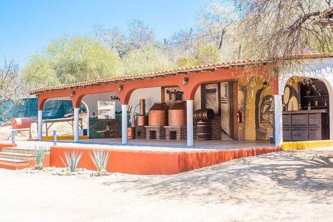 Los Cabos Costa Azul Zipline Eco-Adventure - Who Should Book, and Who Should Skip This Zipline Day