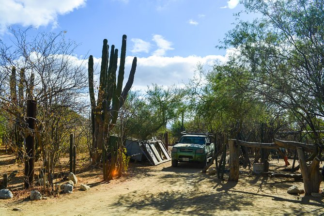 Los Cabos: Hiking at the Fox Canyon with Waterfall - Where you meet, and who gets hotel pickup