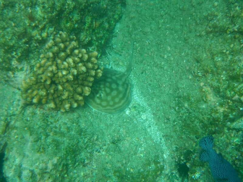 Los Cabos: Kayaking and Snorkeling in Two Pristine Bays - What the 4-hour timing and moderate activity feel like