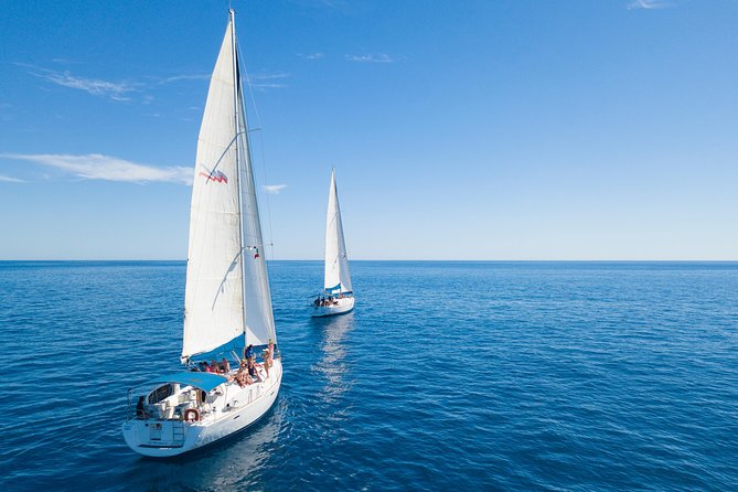 Los Cabos Luxury Sailing, Snorkel and Lunch Cruise - What the onboard experience is like, from drinks to steering the boat