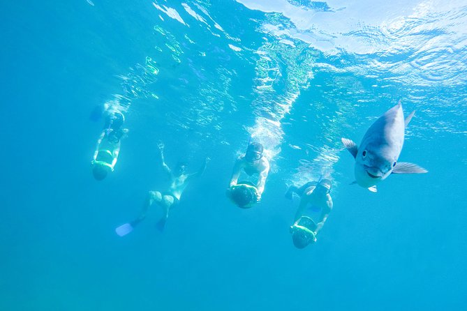 Los Cabos Power snorkel Adventure, Kayaking and Stand-Up Paddle - Key highlights worth planning around