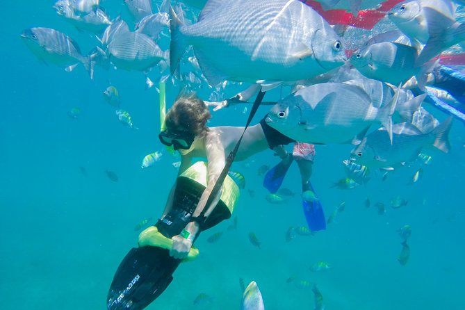 Los Cabos Power snorkel Adventure, Kayaking and Stand-Up Paddle - Playa El Chileno Time: The Main Water Session for Snorkel and Paddles