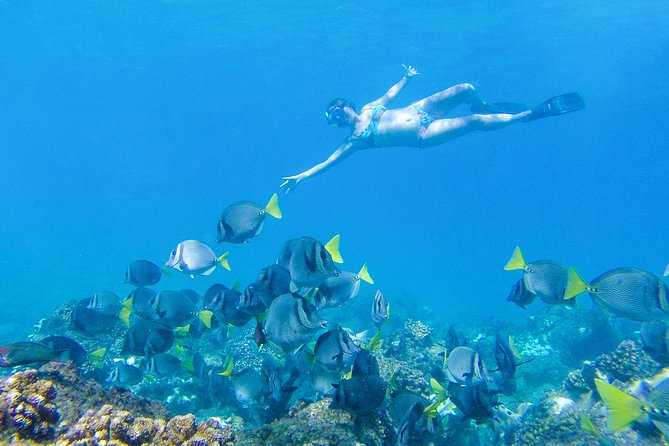 Los Cabos Power snorkel Adventure, Kayaking and Stand-Up Paddle - The El Arco Sightseeing Moment: Beautiful Views, Not a Long Detour