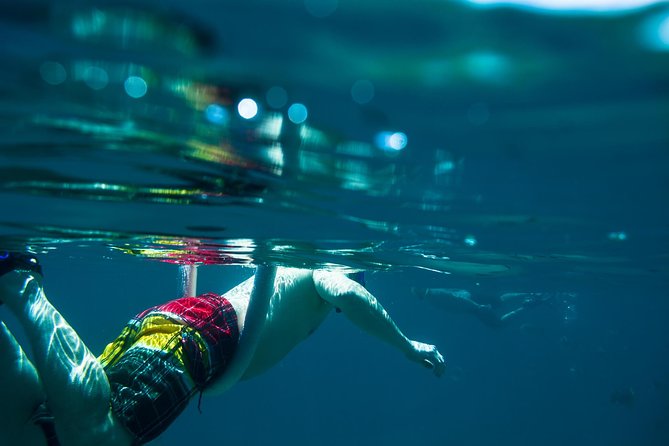 Los Cabos Snorkeling Tour to Chileno Bay and Santa Maria Cove - Santa Maria Beach: Crystal Clear Water and an Easy First Entry