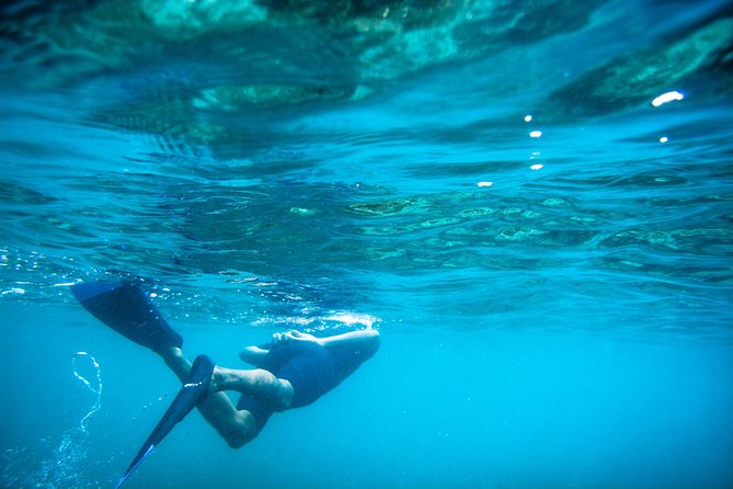 Los Cabos Snorkeling Tour to Chileno Bay and Santa Maria Cove - Getting There: Plaza Gali, Cruise Ship Access, and Optional Hotel Pickup