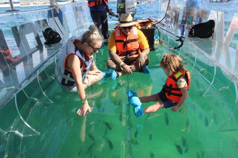 Los Cabos: Transparent Boat Tour with Optional City Tour - Key points before you go