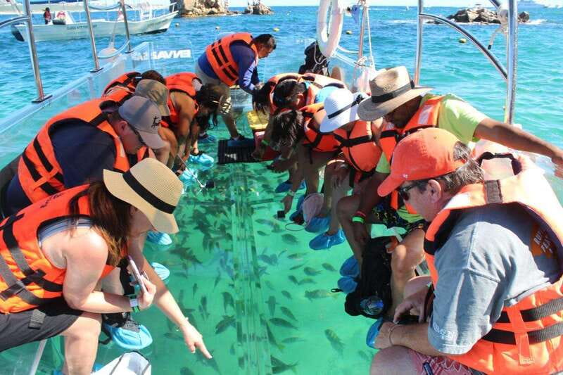 Los Cabos: Transparent Boat Tour with Optional City Tour - Sound and comfort: how to make the 50 minutes feel smooth