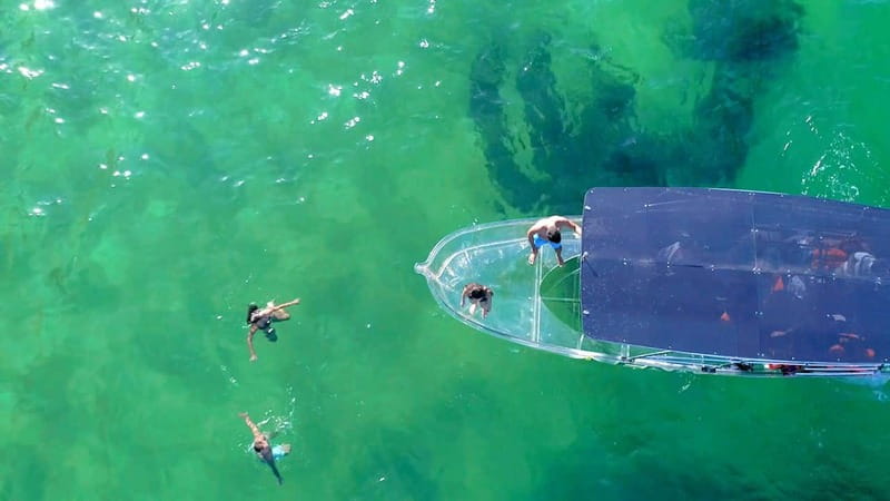 Los Cabos: Transparent Boat Tour with Optional City Tour - Getting your money’s worth with the city option