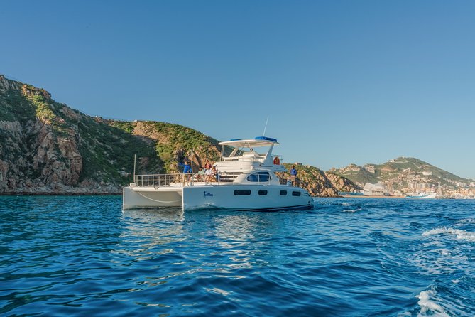 Luxury Catamaran Whale Watching Cabo San Lucas - Luxury Catamaran Whale Watching Cabo San Lucas, The Big Idea