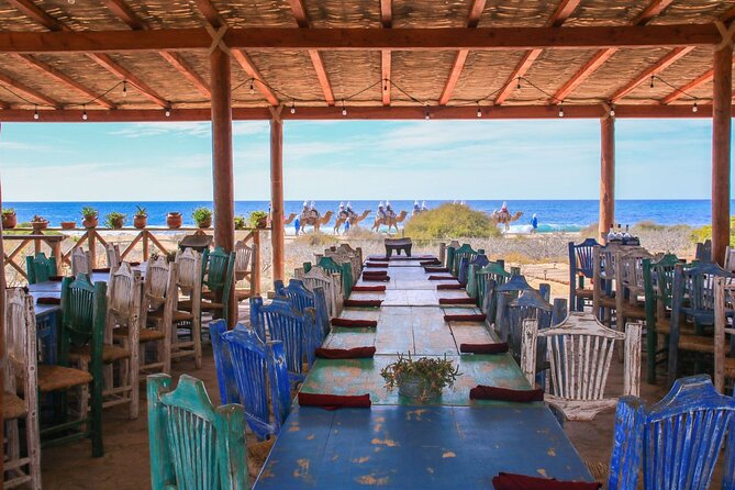 Magical Todos Santos Tour, Camel Ranch, Lunch and Tequila - Carpet-Making Factory: Watch the Loom Work, Then Decide if You Want to Buy