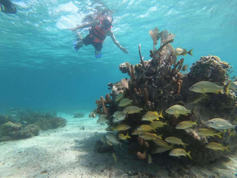 Mahahual: Snorkel Tour in Reef Lagoon - Who this Mahahual snorkel tour fits best