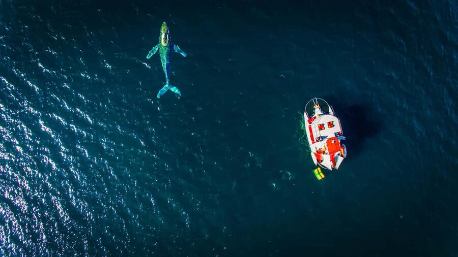 Marietas Islands Boat Tour: Snorkel, Kayak, Playa Nopalera - Islas Marietas National Park: Guided Time and Real Rules of Access