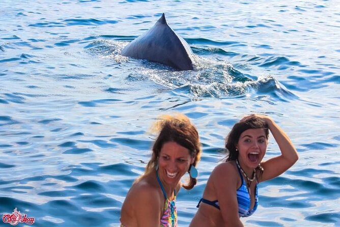 Marietas Islands National Park: Full Day ALL INCLUSIVE Tour - A Premium All-Inclusive Boat Day to Marietas Islands National Park