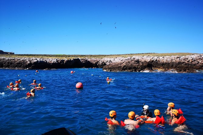 Marietas Islands Snorkel Tour & Hidden Beach - The Boat Ride to Marietas: Wildlife Chances Start Before You Splash