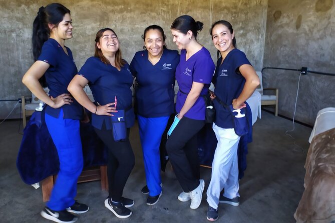 Massage Experience with Certified Therapists & Pickup Drop-Off - Choose Your Massage Style Like a Pro (Ask For These Things)